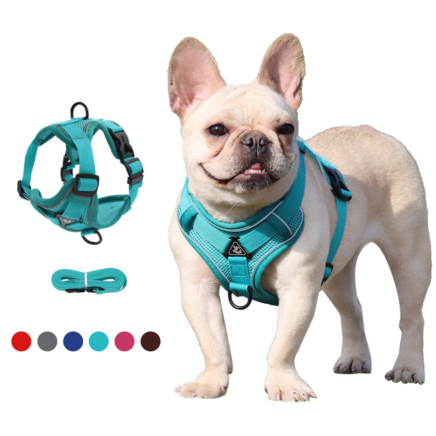 Durable Dog Harness with Long Traction Leash