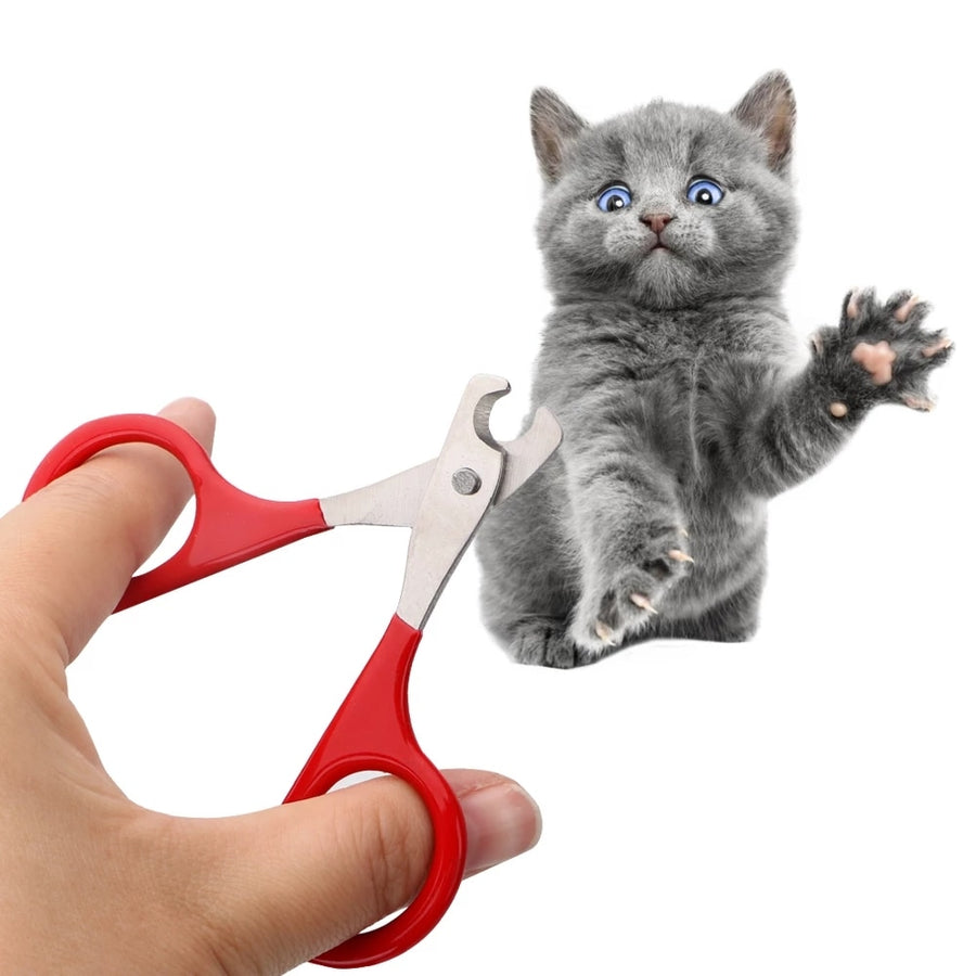 Professional Stainless STeel cat Nail Clippers