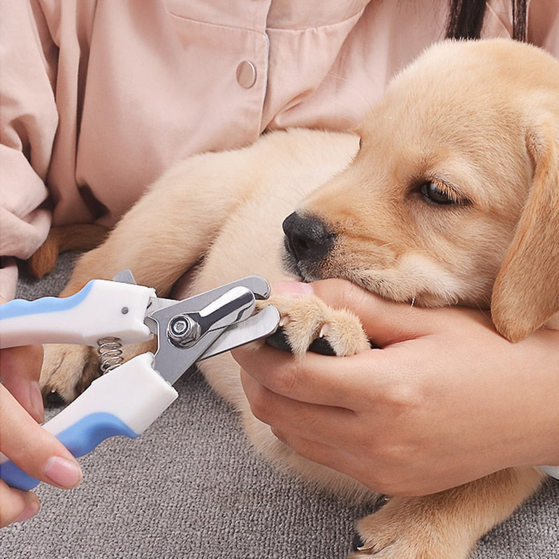Stainless Steel Nail Clippers for Dogs