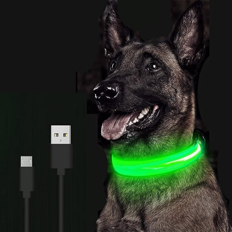 Rechargeable Luminous Dog Collars