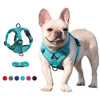 Durable Dog Harness with Long Traction Leash